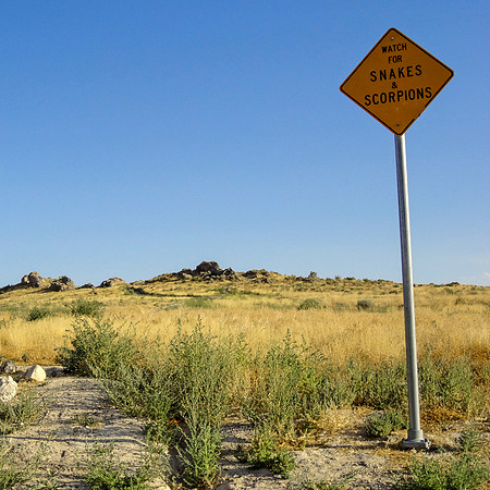 Snakes and Scorpions Warning Highway Rest Stop Sign - Utah, 2011